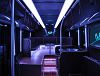 Renting a Party Bus as a Team Event