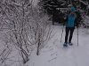 Guided Snowshoe Tour in Bad Mitterndorf